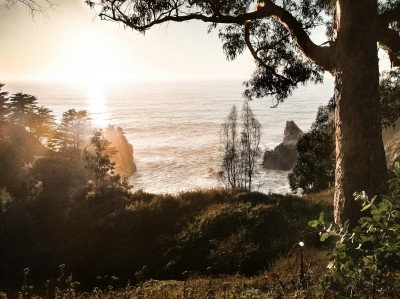 deepseek更新鲸鱼头像没了