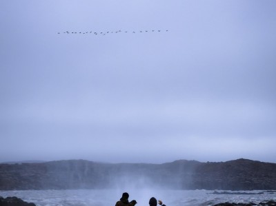 deepseek深度探索网页版