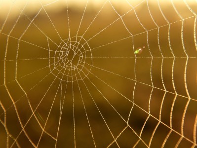 ai软件deepseek网页版