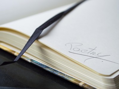 gemini使用教程写论文